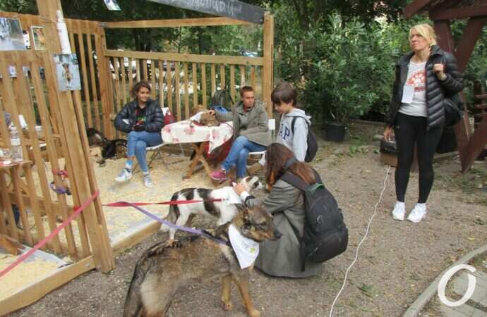 фестиваль Home Me Fest26