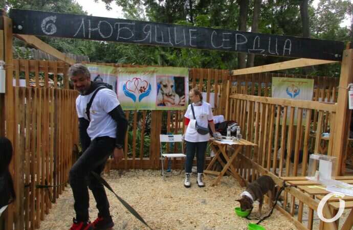 фестиваль Home Me Fest3