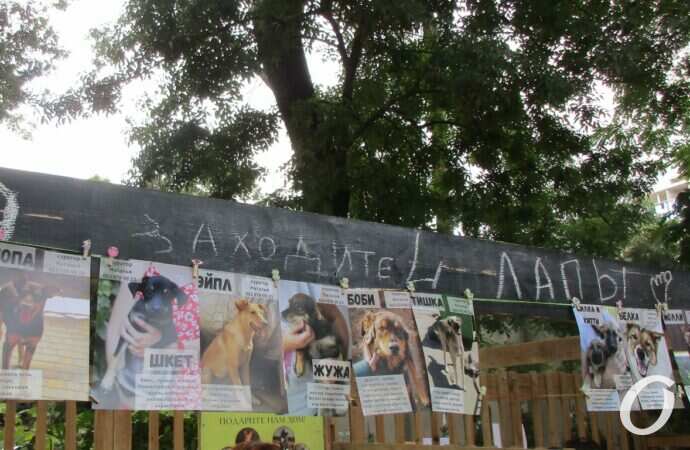 фестиваль Home Me Fest4