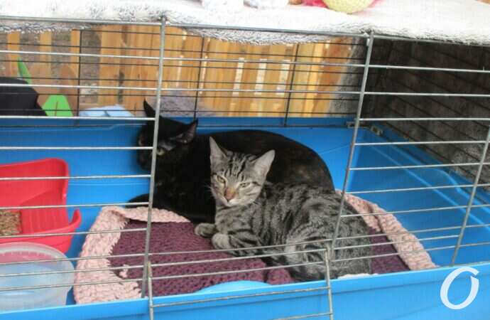 фестиваль Home Me Fest8