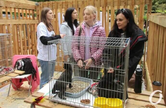 фестиваль Home Me Fest9