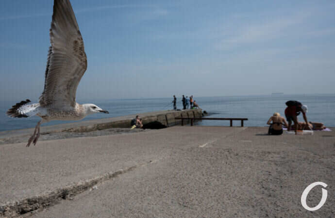 одесские пляжи сентябрь