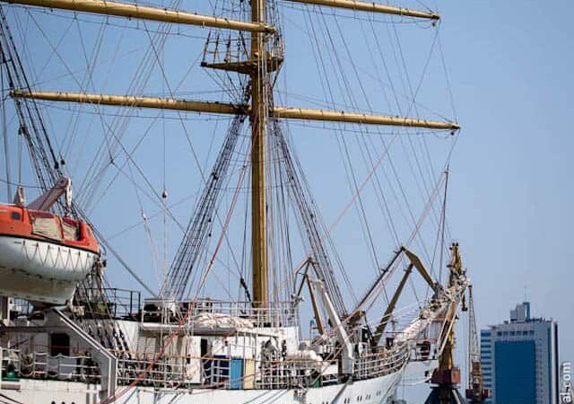 парусник ДРуж