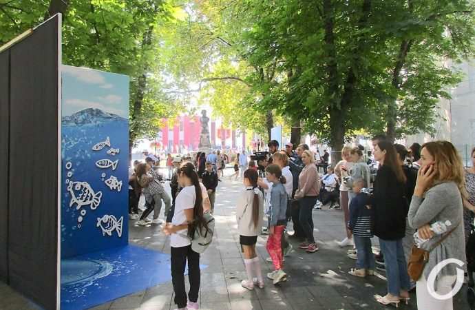 день города