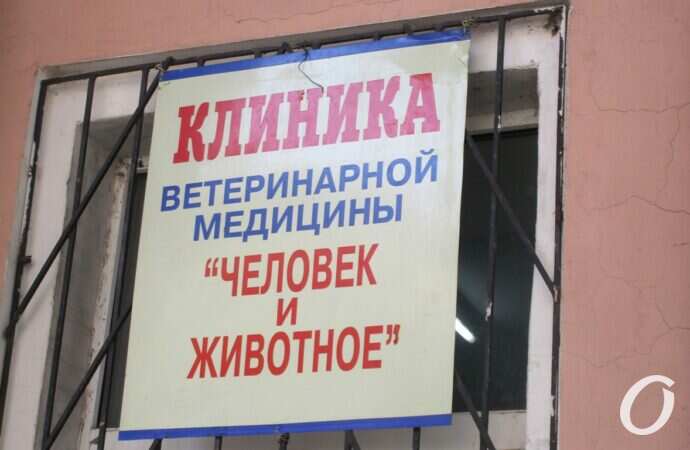 Коблевская ветклиника