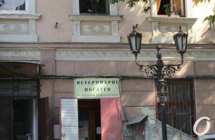 ветклиника