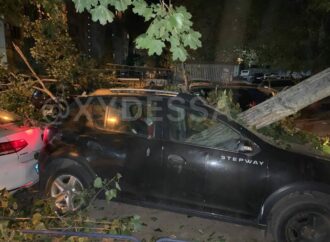 В Одессе дерево «прихлопнуло» 8 автомобилей
