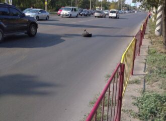Серьезное ДТП в Лузановке: на Николаевской дороге пробка, трамваи не ходят