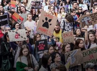 В Одессе пройдет марш против издевательств над беззащитными животными