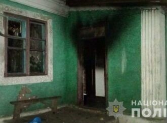 В Подольске подожгли дом многодетной семьи