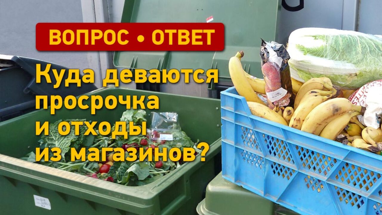 Вопрос - ответ: куда деваются просрочка и отходы из магазинов? - Одесская  Жизнь