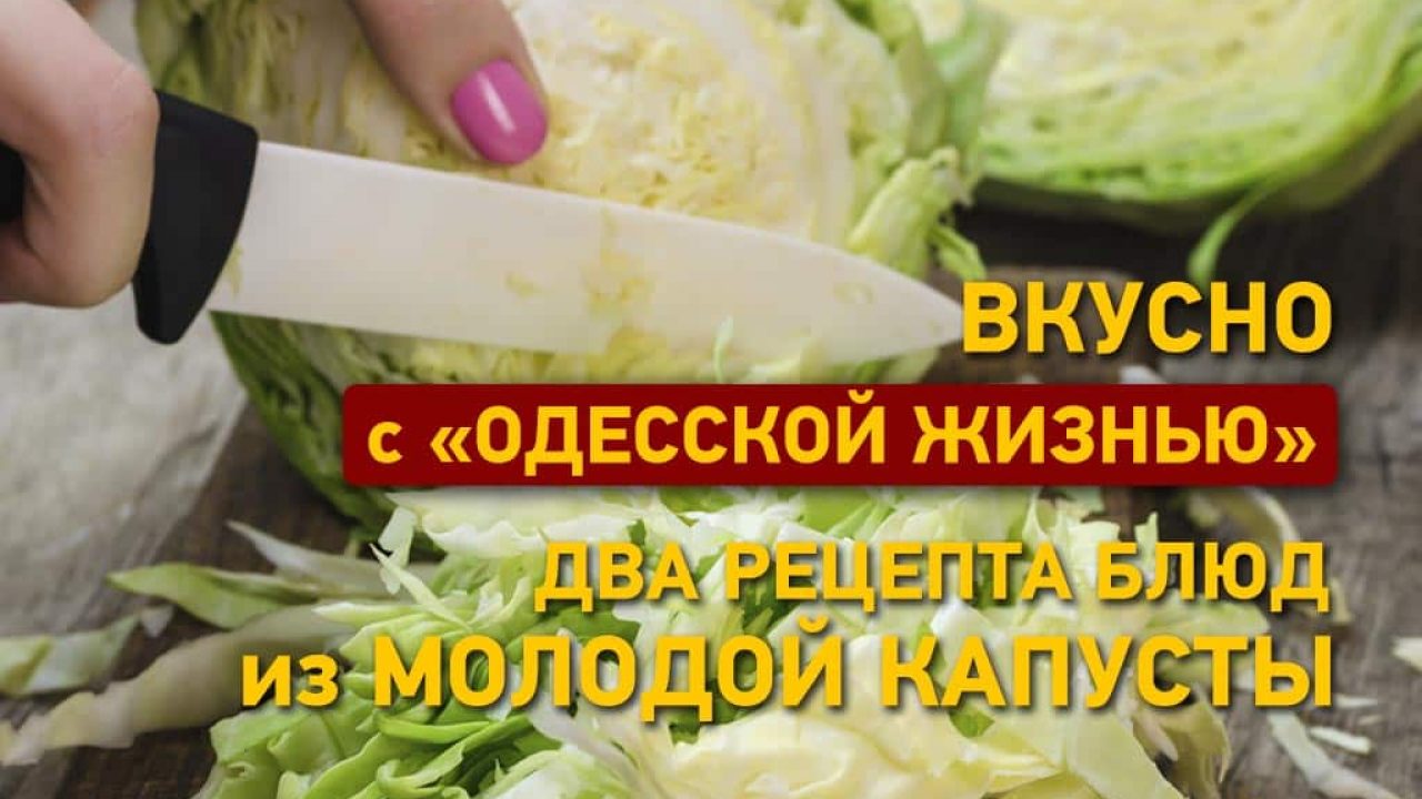 Вкусно с «Одесской жизнью»: три рецепта блюд из молодой капусты