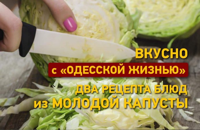 Вкусно с «Одесской жизнью»: три рецепта блюд из молодой капусты