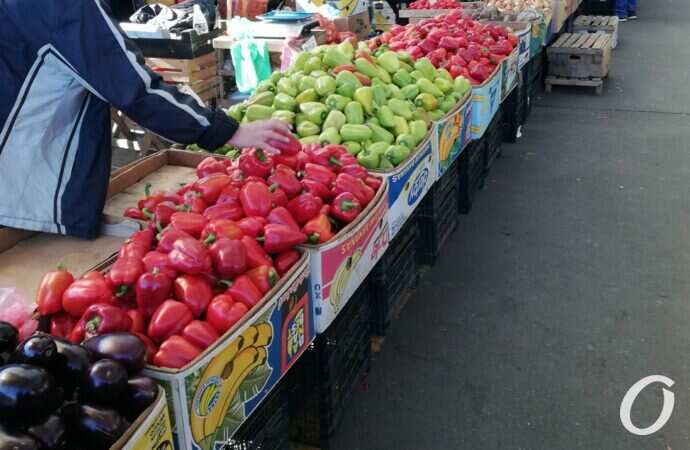 Привоз в октябре14