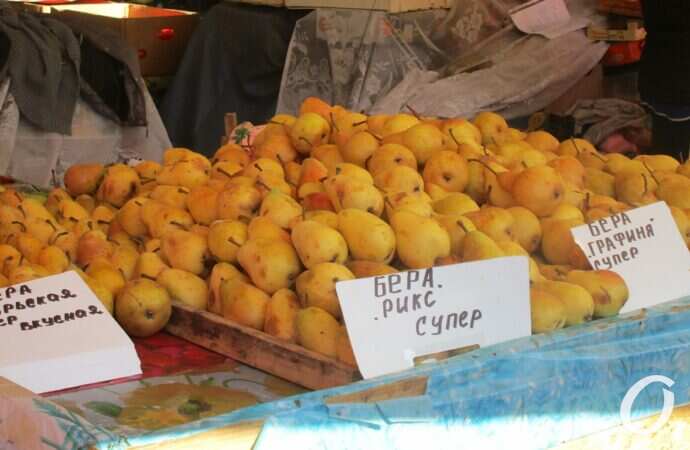 Привоз в октябре2