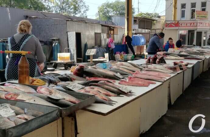 Привоз в октябре24