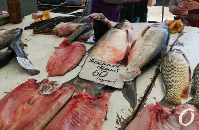 Привоз в октябре25