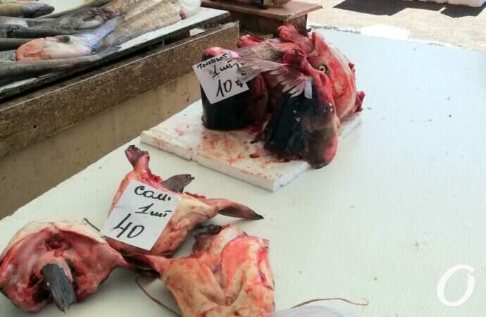 Привоз в октябре26