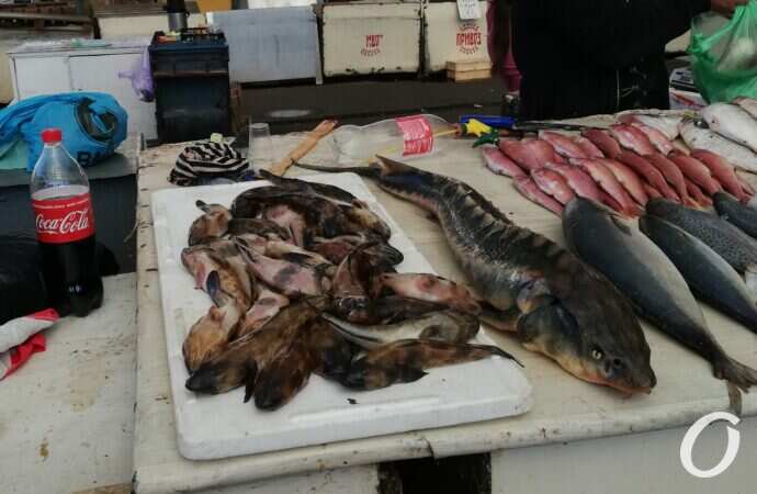 Привоз в октябре27