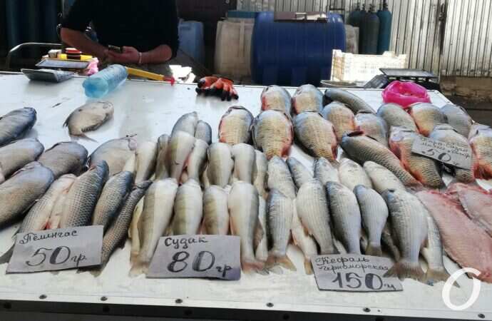 Привоз в октябре28