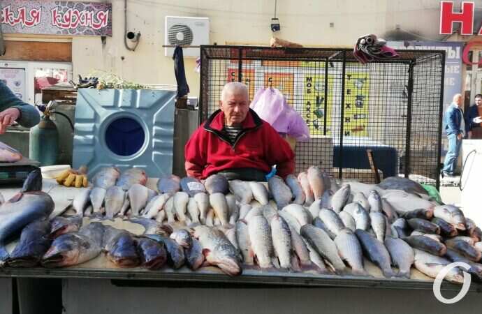 Привоз в октябре29