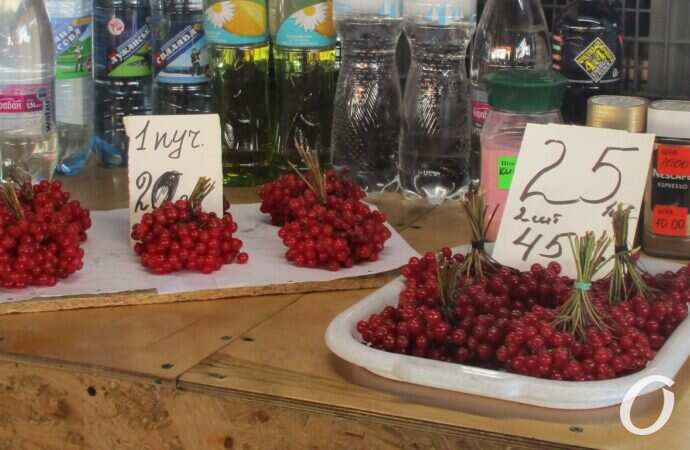 Привоз в октябре4