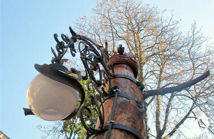 В одесском дворе ствол старого дерева превратили в светящийся арт-объект (фото)