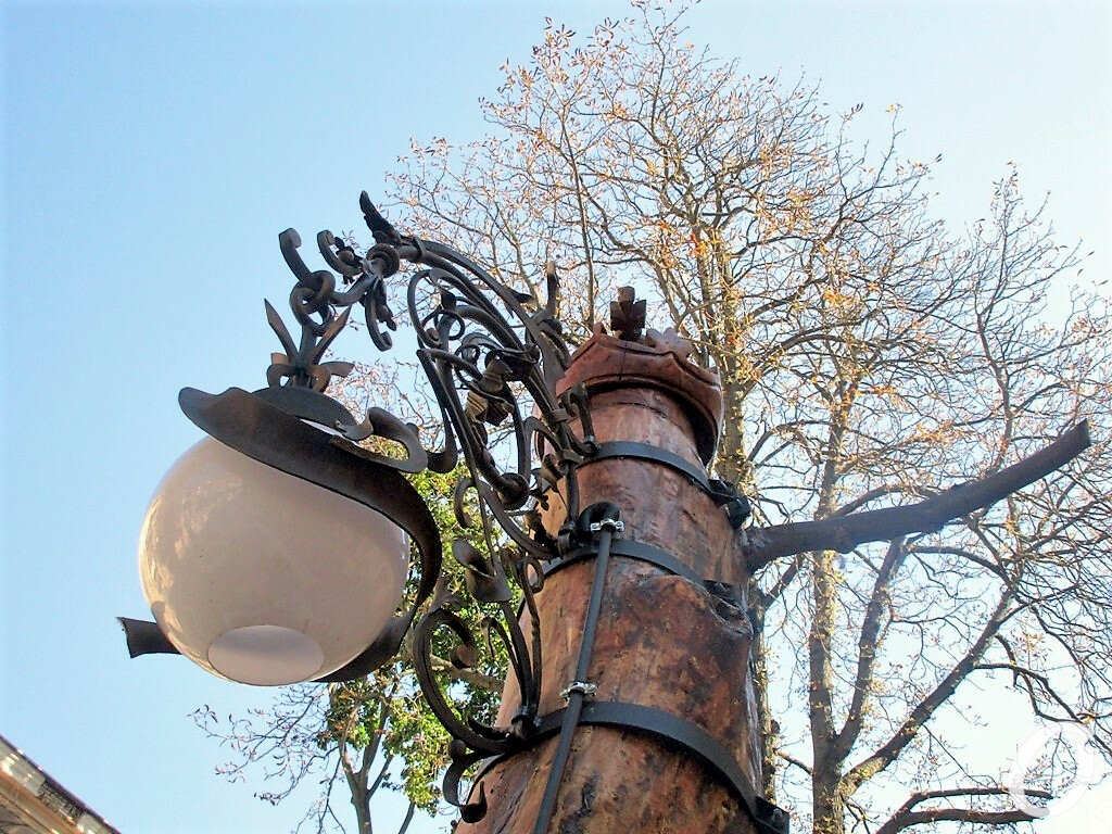 Дерево-фонарь во дворе на Пастера4