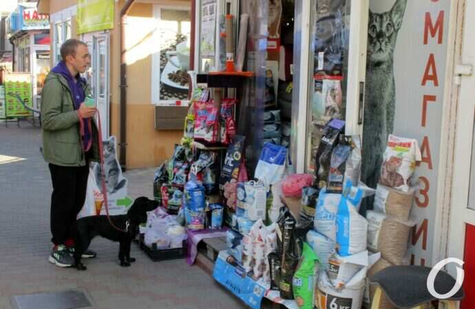 Новый базар в октябре15