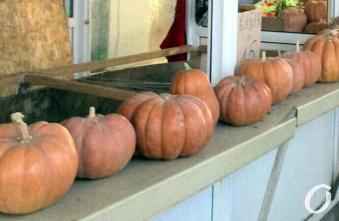 Новый базар в октябре2