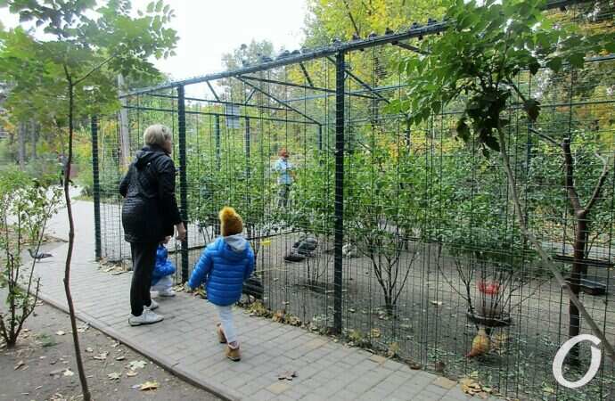 Одесса, октябрь 2021, Парк Победы14