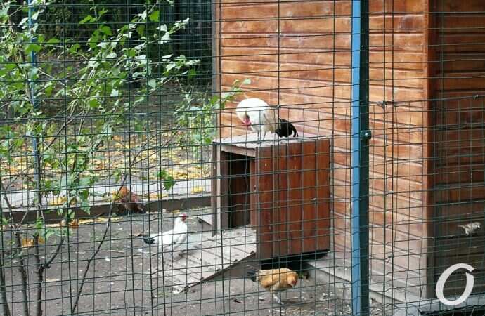 Одесса, октябрь 2021, Парк Победы15