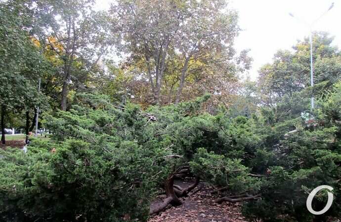 Одесса, октябрь 2021, Парк Победы2