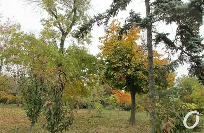 Одесса, октябрь 2021, Парк Победы23