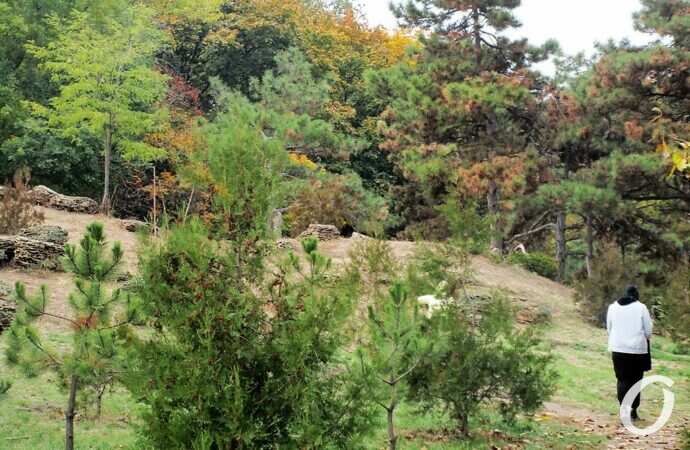 Одесса, октябрь 2021, Парк Победы37