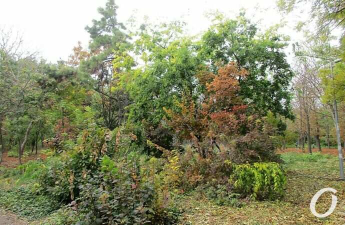 Одесса, октябрь 2021, Парк Победы38