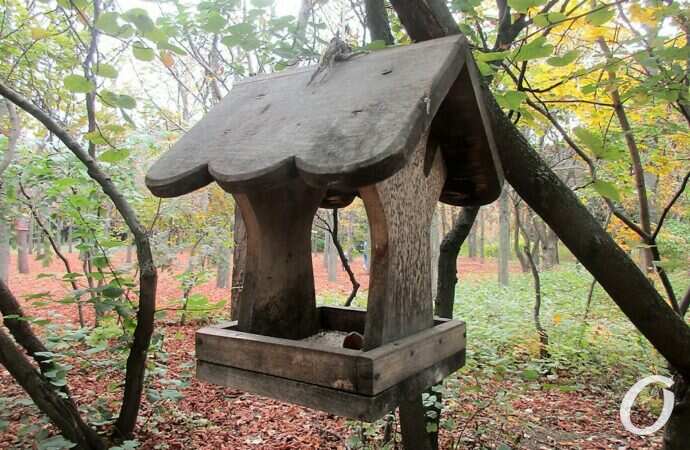 Одесса, октябрь 2021, Парк Победы40