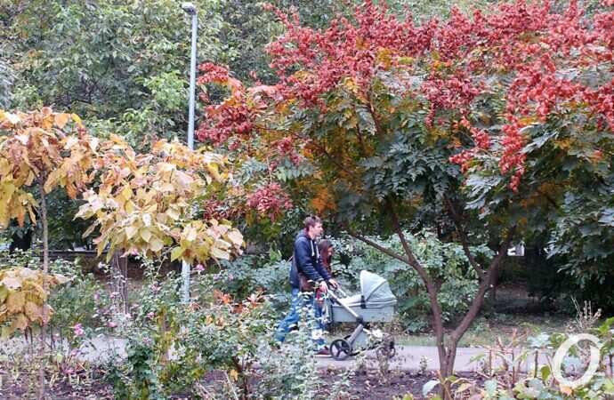 Одесса, октябрь 2021, Парк Победы44