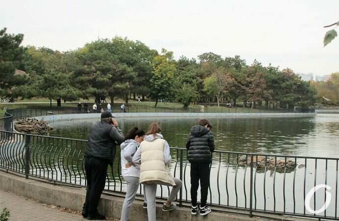 Одесса, октябрь 2021, Парк Победы5