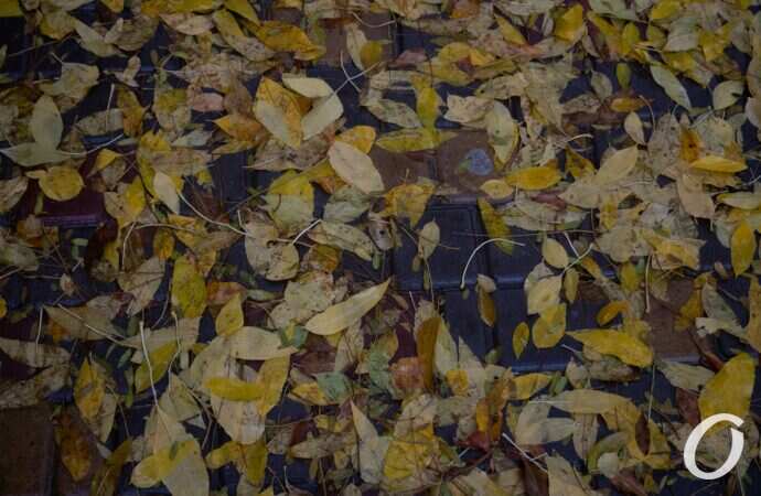 Одесса, осенний дождь, октябоь