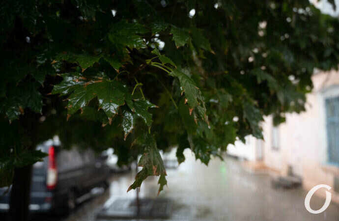 Одесса, осенний дождь, октябоь