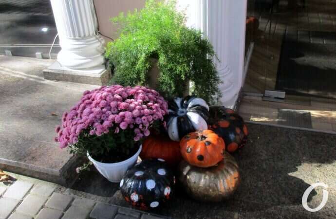 Хэллоуин в Одессе октябрь 2021