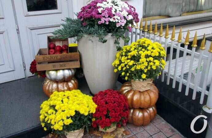 Хэллоуин в Одессе октябрь 2021