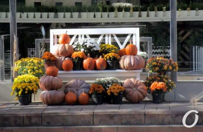 Хэллоуин в Одессе октябрь 2021