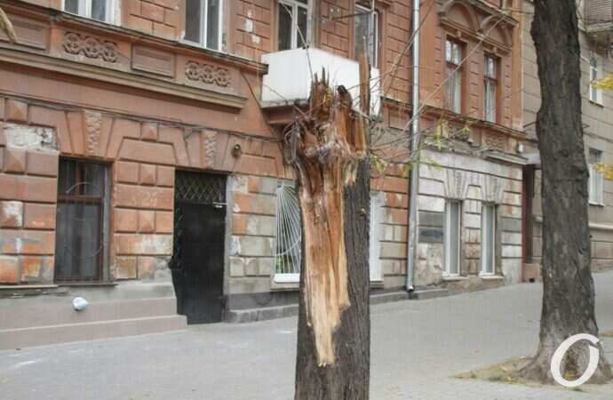 улица Ольгиевская40