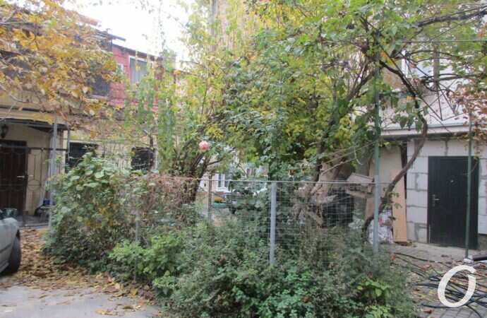 улица Ольгиевская7