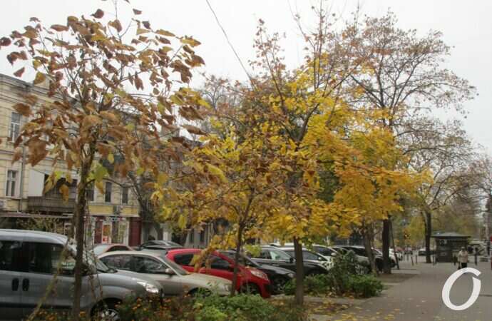 улица Ольгиевская8