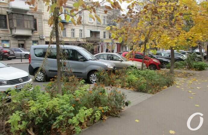 улица Ольгиевская9