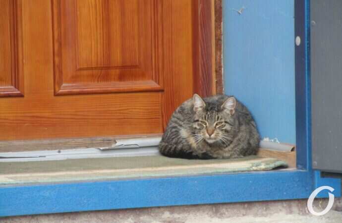 улица Краснослободская42