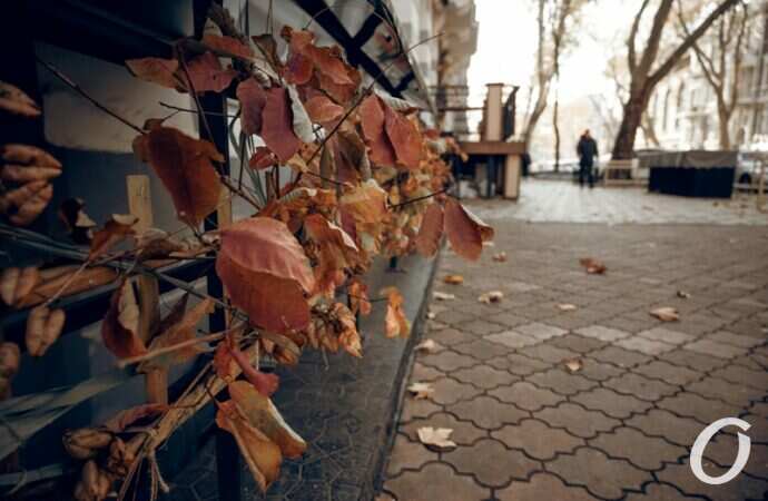 Ноябрьский центр Одессы24